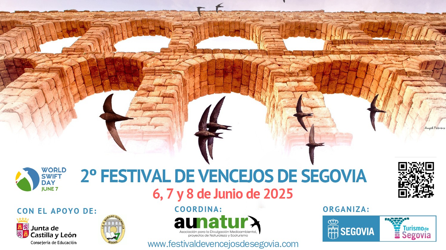 Del 6 al 8 de junio. Festival de Vencejos de Segovia
