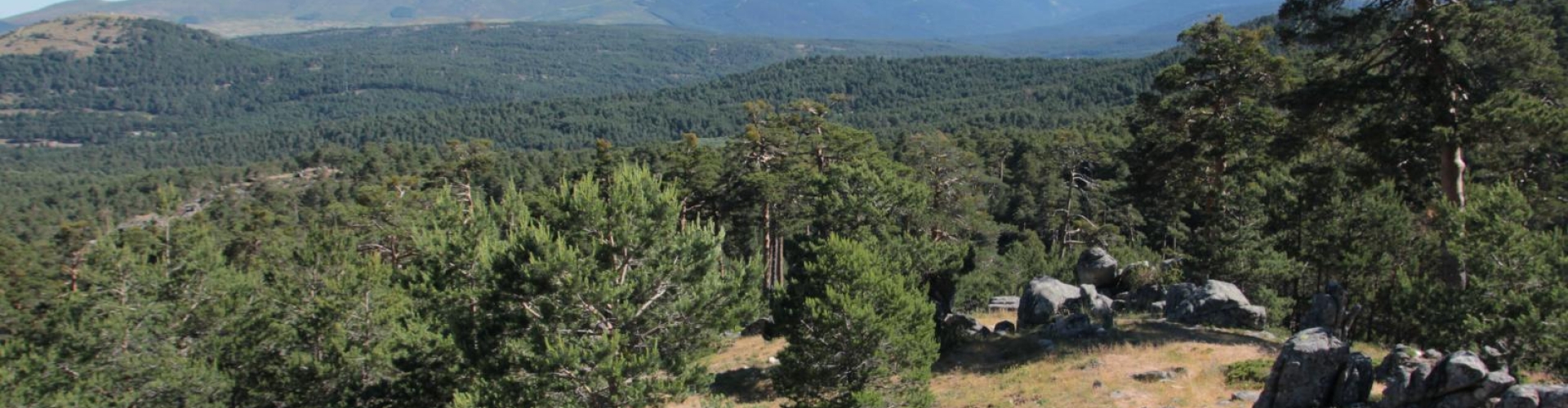 Parque Natural Sierra Norte de Guadarrama