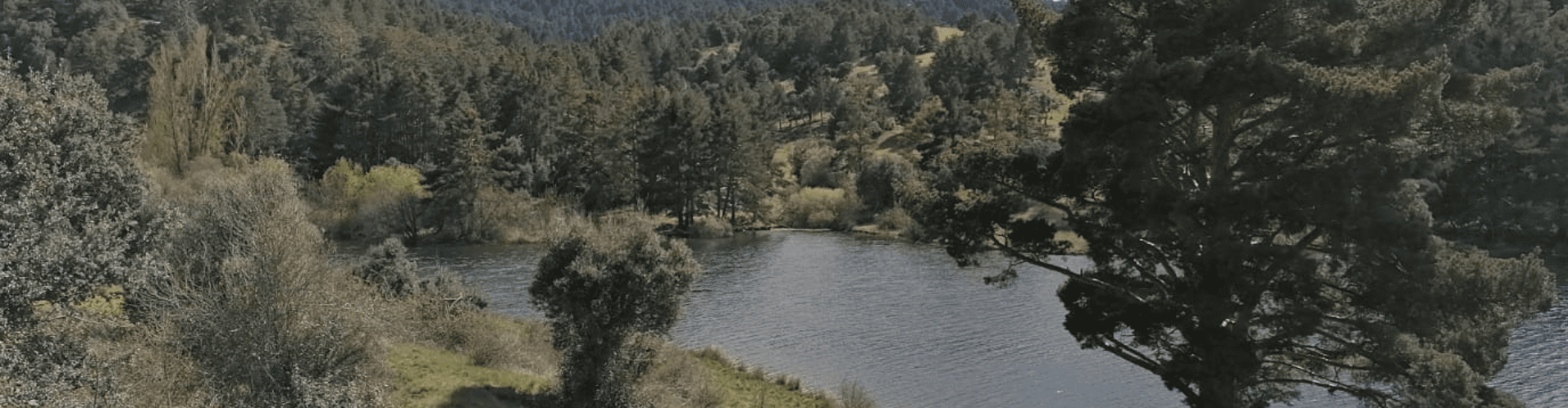 Embalse de Puente Alta. AUNATUR