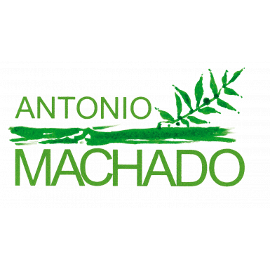 Casa - Museo de Antonio Machado